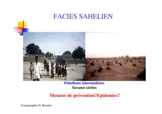 FACIES SAHELIEN
Paludisme intermédiaire
Savanes sèches
Mesures de prévention?Epidemies?
Iconographie D. Baudon
 