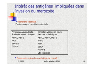 Intérêt des antigènes impliquées dans
  l’invasion du merozoïte

      Recherche vaccinale
    Plusieurs Ag → candidats potentiels


Principaux Ag candidats.     Candidats vaccins en cours
Stade des essais cliniques   d’études pré cliniques
MSP-1, MSP 3                 MSP-2, MSP-4, MSP-5
AMA-1                        RAP-2
EBA-175                      RESA
GLURP                        SERA
                             PfEMP-1
                             GPI (toxine)

     Comprendre mieux la morphologie de ces AG
      21.03.08                      Atelier paludisme 2008   10
 