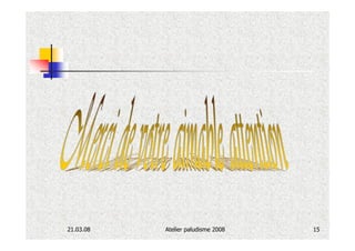 21.03.08   Atelier paludisme 2008   15
 
