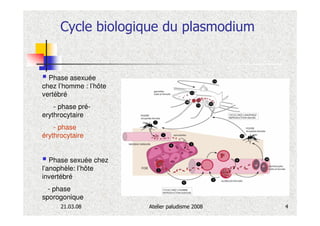 Cycle biologique du plasmodium


  Phase asexuée
chez l’homme : l’hôte
vertébré
    - phase pré-
erythrocytaire
    - phase
érythrocytaire


   Phase sexuée chez
l’anophèle: l’hôte
invertébré
  - phase
sporogonique
      21.03.08          Atelier paludisme 2008   4
 