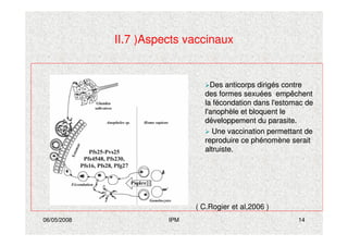 06/05/2008 IPM 14
II.7 )Aspects vaccinaux
Des anticorps dirigDes anticorps dirigéés contres contre
des formes sexudes formes sexuéées empêchentes empêchent
la fla féécondation dans l'estomac decondation dans l'estomac de
l'anophl'anophèèle et bloquent lele et bloquent le
ddééveloppement du parasite.veloppement du parasite.
Une vaccination permettant deUne vaccination permettant de
reproduire ce phreproduire ce phéénomnomèène seraitne serait
altruiste.altruiste.
( C.Rogier et al,2006 )
 