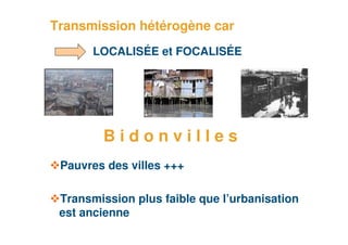 Transmission hétérogène car
            LOCALISÉE et FOCALISÉE




             Bidonvilles
      Pauvres des villes +++

      Transmission plus faible que l’urbanisation
      est ancienne
10
 