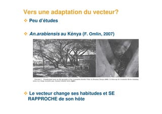 Vers une adaptation du vecteur?
      Peu d’études

      An.arabiensis au Kénya (F. Omlin, 2007)




      Le vecteur change ses habitudes et SE
      RAPPROCHE de son hôte
16
 