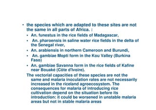 • the species which are adapted to these sites are not
       the same in all parts of Africa. :
         An. funestus in the rice fields of Madagascar,
          An. pharoensis in saline water rice fields in the delta of
         the Senegal river,
         An. arabiensis in northern Cameroon and Burundi,
          An. gambiae Mopti form in the Kou Valley (Burkina
         Faso)
         An. gambiae Savanna form in the rice fields of Kafine
         near Bouaké (Côte d'Ivoire).
       The vectorial capacities of these species are not the
         same and malaria inoculation rates are not necessarily
         increased in the riceland agroecosystem. The
         consequences for malaria of introducing rice
         cultivation depend on the situation before its
         introduction: it could be worsened in unstable malaria
36       areas but not in stable malaria areas
 
