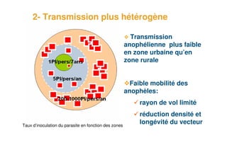 2- Transmission plus hétérogène

                                                             Transmission
                                                           anophélienne plus faible
                                                           en zone urbaine qu’en
                                                           zone rurale


                                                             Faible mobilité des
                                                           anophèles:
                                                                rayon de vol limité
                                                                réduction densité et
    Taux d’inoculation du parasite en fonction des zones
                                                                longévité du vecteur


9
 