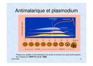 06/05/2008 10
Antimalarique et plasmodium
Phases aux quelles 3 antimalariques sont actifs en fonction du cycle érythrocytaire
de P.falciparum (WHIT N J et al. 1989)
 