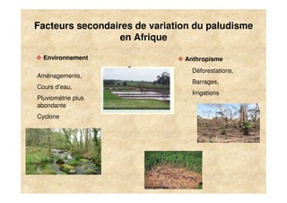 Facteurs secondaires de variation du paludisme
                      en Afrique

       Environnement                Anthropisme
                                      Déforestations,
     Aménagements,
                                      Barrages,
     Cours d’eau,
                                      Irrigations
     Pluviométrie plus
     abondante
     Cyclone




10
 