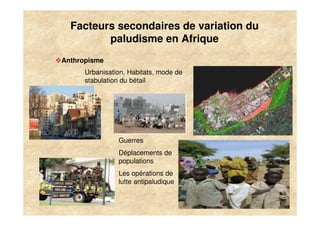 Facteurs secondaires de variation du
              paludisme en Afrique
     Anthropisme
           Urbanisation, Habitats, mode de
           stabulation du bétail




                     Guerres
                     Déplacements de
                     populations
                     Les opérations de
                     lutte antipaludique


11
 