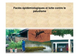 Faciès épidémiologiques et lutte contre le
                   paludisme




15
 