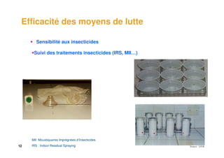 Efficacité des moyens de lutte

        Sensibilité aux insecticides

      Suivi des traitements insecticides (IRS, MII…)




     MII: Moustiquaires Imprégnées d’Insecticides
12   IRS : Indoor Residual Spraying
 