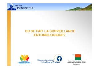 OU SE FAIT LA SURVEILLANCE
    ENTOMOLOGIQUE?




                      Ministère de la Santé, du Planning
                      Familial et de la Protection Sociale
                                  Madagascar
 