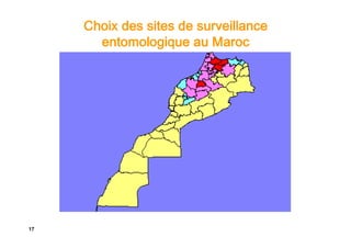 Choix des sites de surveillance
       entomologique au Maroc




                               HR: G.A1
                               HR: G.A2
                               PR: G. B
                               LR: G. C


17
 
