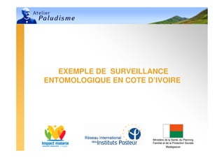EXEMPLE DE SURVEILLANCE
ENTOMOLOGIQUE EN COTE D’IVOIRE




                       Ministère de la Santé, du Planning
                       Familial et de la Protection Sociale
                                   Madagascar
 