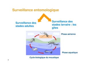 Surveillance entomologique


                                     Surveillance des
     Surveillance des
                                     stades larvaire : les
     stades adultes
                                     gîtes

                                               Phase aérienne




                                               Phase aquatique

               Cycle biologique du moustique
7
 