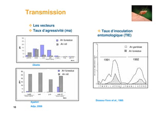 10
Les vecteurs
Taux d’agressivité (ma)
Transmission
Dossou-Yovo et al., 1995
Taux d’inoculation
entomologique (TIE)
An gambiae
An funestus
1991 1992
Gbatta
Kpéhiri
Adja, 2008
An funestus
An nili
An funestus
An nili
 