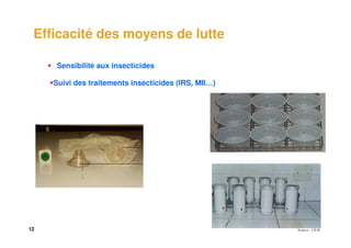 12
Efficacité des moyens de lutte
Sensibilité aux insecticides
Suivi des traitements insecticides (IRS, MII…)
 