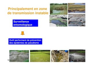 14
Outil performant de prévention
des épidémies de paludisme
Surveillance
entomologique
Principalement en zone
de transmission instable
 