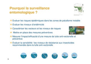 5
Pourquoi la surveillance
entomologique ?
Evaluer les risques épidémiques dans les zones de paludisme instable
Evaluer les niveaux d’endémicité
Caractériser les vecteurs et les niveaux de risques
Mettre en place des mesures préventives
Mesurer l’impact/efficacité d’une mesure de lutte anti-vectorielle et
préventive
Evaluer la sensibilité / les niveaux de résistance aux insecticides
recommandés dans la lutte anti-vectorielle
 