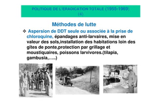 10
POLITIQUE DE L’ERADICATION TOTALE (1955-1969)
(4)
Méthodes de lutte
Aspersion de DDT seule ou associée à la prise de
chloroquine, épandages anti-larvaires, mise en
valeur des sols,installation des habitations loin des
gîtes de ponte,protection par grillage et
moustiquaires, poissons larvivores.(tilapia,
gambusia,…..)
 