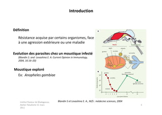 Introduction



Définition

   Résistance acquise par certains organismes, face
   à une agression extérieure ou une maladie

Evolution des parasites chez un moustique infecté
   (Blandin S. and Levashina E. A. Current Opinion in Immunology,
   2004, 16:16–20)


Moustique exploré
 Ex: Anopheles gambiae




    Institut Pasteur de Madagascar,   Blandin S et Levashina E. A., M/S : médecine sciences, 2004
    Atelier Paludisme 31 mars                                                                       3
    2011
 