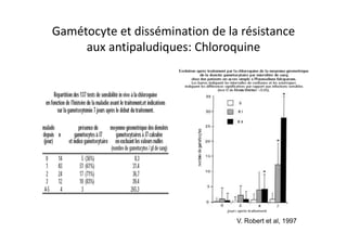 Gamétocyte et dissémination de la résistance
aux antipaludiques: Chloroquine
V. Robert et al, 1997
 