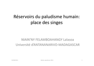 Réservoirs du paludisme humain:
          place des singes


         NIAIN’NY FELAMBOAHANGY Lalasoa
      Université d’ANTANANARIVO-MADAGASCAR



01/04/2011          Atelier paludisme 2011   1
 