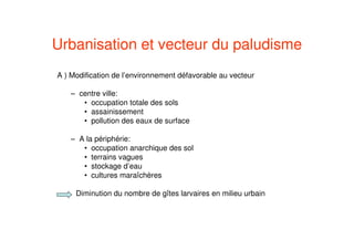Urbanisation et vecteur du paludisme
A ) Modification de l’environnement défavorable au vecteur
– centre ville:
• occupation totale des sols
• assainissement
• pollution des eaux de surface
– A la périphérie:
• occupation anarchique des sol
• terrains vagues
• stockage d’eau
• cultures maraîchères
Diminution du nombre de gîtes larvaires en milieu urbain
 