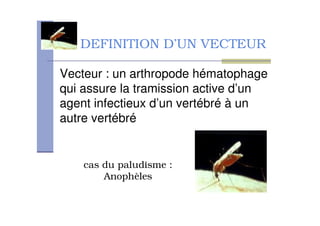 1. DEFINITION D’UN VECTEUR
Vecteur : un arthropode hématophage
qui assure la tramission active d’un
agent infectieux d’un vertébré à un
autre vertébré
cas du paludisme :
Anophèles
 