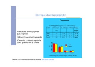 Exemple d’anthropophilie
Fontenille D. La transmission vectorielle du paludisme. www.mpl.ird.fr/vecteur
•2 espèces: anthropophiles
que zoophiles
•Même niveau d’anthropophilie
•Zoophilie: préférence pour le
bœuf que mouton et cheval
 