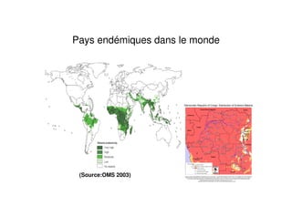 Pays endémiques dans le monde
(Source:OMS 2003)
 