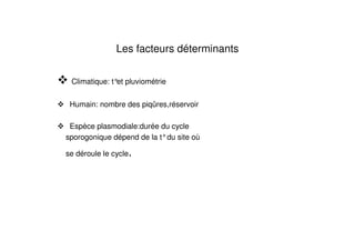 Les facteurs déterminants
Climatique: t°et pluviométrie
Humain: nombre des piqûres,réservoir
Espèce plasmodiale:durée du cycle
sporogonique dépend de la t°du site où
se déroule le cycle.
 