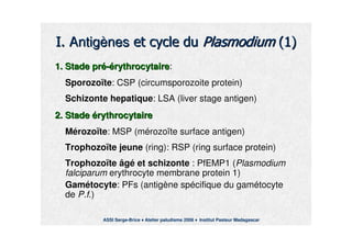 AntigAntigèènesnes
1. Stade1. Stade prpréé--éérythrocytairerythrocytaire::
SporozoSporozoïïtete: CSP (: CSP (circumsporozoitecircumsporozoite proteinprotein))
SchizonteSchizonte hepatiquehepatique: LSA (: LSA (liverliver stagestage antigenantigen))
2. Stade2. Stade éérythrocytairerythrocytaire
MMéérozorozoïïtete: MSP (: MSP (mméérozorozoïïtete surfacesurface antigenantigen))
TrophozoTrophozoïïtete jeunejeune (ring): RSP ((ring): RSP (ringring surfacesurface proteinprotein))
TrophozoTrophozoïïtete âgâgéé etet schizonteschizonte : PfEMP1 (: PfEMP1 (PlasmodiumPlasmodium
falciparumfalciparum erythrocyteerythrocyte membranemembrane proteinprotein 1)1)
GamGaméétocytetocyte:: PFsPFs (antig(antigèène spne spéécifique du gamcifique du gaméétocytetocyte
dede P.fP.f.).)
ASSI Serge-Brice Atelier paludisme 2006 Institut Pasteur Madagascar
 