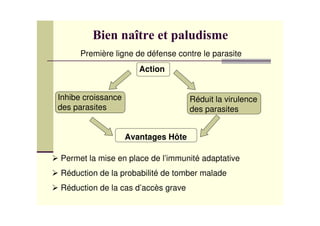 Première ligne de défense contre le parasite
Permet la mise en place de l’immunité adaptative
Réduction de la probabilité de tomber malade
Réduction de la cas d’accès grave
Réduit la virulence
des parasites
Inhibe croissance
des parasites
Action
Avantages Hôte
 