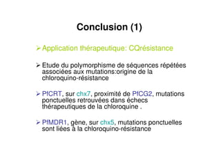 Conclusion (1)
Application thérapeutique: CQrésistance
Etude du polymorphisme de séquences répétées
associées aux mutations:origine de la
chloroquino-résistance
PfCRT, sur chx7, proximité de PfCG2, mutations
ponctuelles retrouvées dans échecs
thérapeutiques de la chloroquine .
PfMDR1, gène, sur chx5, mutations ponctuelles
sont liées à la chloroquino-résistance
 