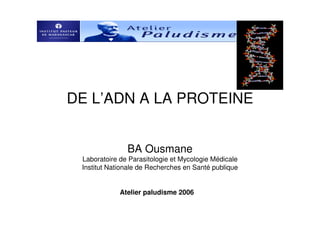 DE L’ADN A LA PROTEINE
BA Ousmane
Laboratoire de Parasitologie et Mycologie Médicale
Institut Nationale de Recherches en Santé publique
Atelier paludisme 2006
 