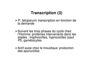 Transcription (3)
P. falciparum: transcription en fonction de
la demande
Suivant les trois phases du cycle chez
l’Homme: protéines intervenants dans les
stades : trophozoïtes, hypnozoïtes (sauf
Pf), gamétocytes
Actif aussi chez le moustique: production
des sporozoïtes
 