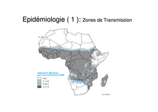 EpidEpidéémiologie ( 1 ):miologie ( 1 ): Zones de TransmissionZones de Transmission
 