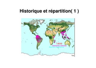 Historique et rHistorique et réépartition( 1 )partition( 1 )
 