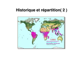 Historique et rHistorique et réépartition( 2 )partition( 2 )
 
