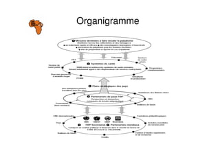 Organigramme
 