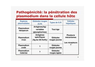 "
+
Globules
rouges âgées
?
Plasmodium
malariae
Globules
rouges jeunes
?
Plasmodium
ovale
Globules
rouges jeunes
Antigènes
spécifiques
(Ag du GS Duffy)
Plasmodium
vivax
Plusieurs
mécanismes
Les récepteurs
?
Tout âge
Antigènes(Ag)
variables
(glycophorines)
Plasmodium
falciparum
Cellules
hépatiquesTypes de G.R
Globules rouges
(G.R)
Espèces
plasmodiales