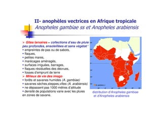 #
distribution d'Anopheles gambiae
et d'Anopheles arabiensis
Gîtes larvaires = collections d’eau de pluie
peu profondes, ensoleillées et sans végétat°
empreintes de pas ou de sabots,
flaques,
petites mares,
marécages aménagés,
surfaces irriguées, barrages,
flaques résiduelles des décrues,
fosses d’emprunt de terre
Milieux de vie des imago
forêts et savanes humides (A. gambiae)
savanes sèches,steppes,villes (A. arabiensis)
ne dépassent pas 1000 mètres d’altitude
densité de populations varie avec les pluies
en zones de savane.
 