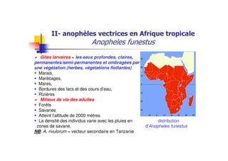 Gîtes larvaires = les eaux profondes, claires,
permanentes/semi-permanentes et ombragées par
une végétation (herbes, végétations flottantes)
Marais,
Marécages,
Mares,
Bordures des lacs et des cours d’eau,
Rizières
Milieux de vie des adultes
Forêts
Savanes
Atteint l’altitude de 2000 mètres
La densité des individus varie avec les pluies en distribution
zones de savane, d'Anopheles funestus
NB: A. rivulorum = vecteur secondaire en Tanzanie
 
