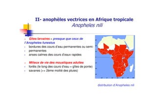 Gîtes larvaires = presque que ceux de
l’Anopheles funestus
bordures des cours d’eau permanentes ou semi-
permanentes
anses calmes des cours d’eaux rapides
Milieux de vie des moustiques adultes
forêts (le long des cours d’eau = gîtes de ponte)
savanes (++ 2ème moitié des pluies)
distribution d'Anopheles nili
 