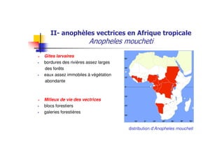 #
Gîtes larvaires
bordures des rivières assez larges
des forêts
eaux assez immobiles à végétation
abondante
Milieux de vie des vectrices
blocs forestiers
galeries forestières
distribution d'Anopheles moucheti
 