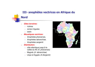Gîtes larvaires:
rizières
zones irriguées
oasis
Moustiques vectrices:
Anopheles pharoensis,
Anopheles labranchiae,
Anopheles sergentii
Distribution:
côte atlantique jusqu’à la
vallée du Nil (A. pharoensis)
Magreb (A. labranchiae)
Libye et Egypte (A.Sergentii)
 
