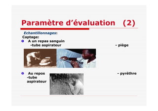 Paramètre d’évaluation (2)
Echantillonnages:
Captage:
A un repas sanguin
-tube aspirateur - piège
Au repos - pyrèthre
-tube
aspirateur
 