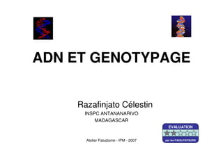 Atelier Paludisme - IPM - 2007
ADN ET GENOTYPAGE
Razafinjato Célestin
INSPC ANTANANARIVO
MADAGASCAR
EVALUATION
par les FACILITATEURS
 
