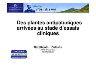 Des plantes antipaludiques
arrivées au stade d’essais
cliniques
Razafinjato Célestin
INSPC Antananarivo
MADAGASCAREVALUATION
par les FACILITATEURS
 