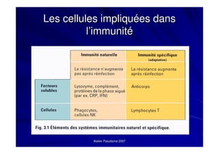 La réponse immunitaire cellulaire: la théorie | PDF
